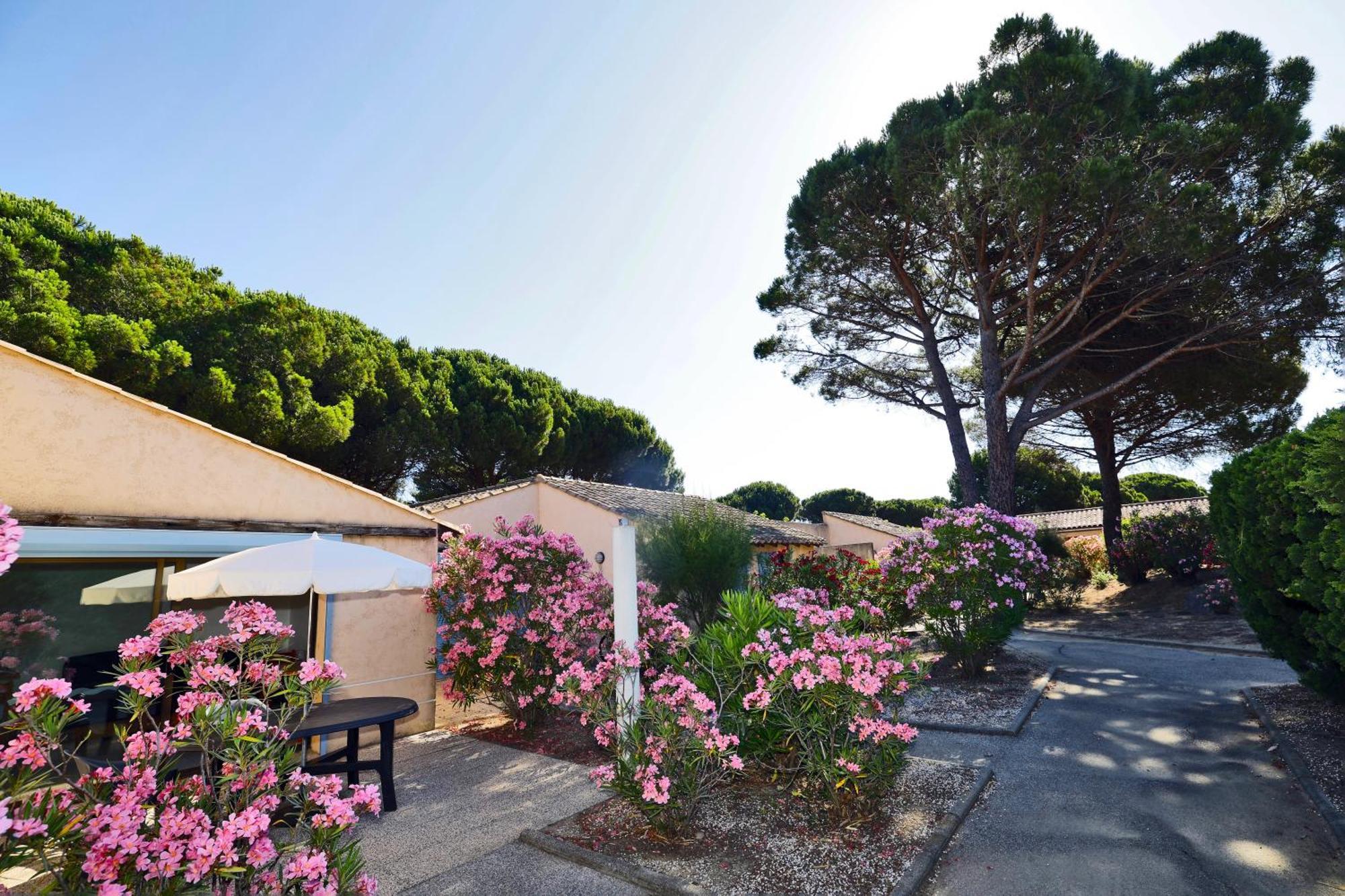 Village De - Le Sentier Des Pins Ferienpark Ramatuelle